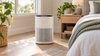 Can an Air Purifier Help a Stuffy Nose?